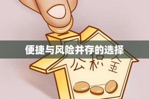 卫辉便捷与风险并存的选择