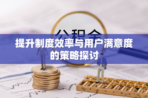 卫辉提升制度效率与用户满意度的策略探讨
